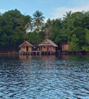 Shady Sea Homestay