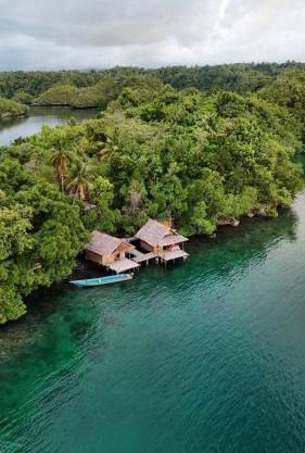"Shady Sea Raja Ampat"