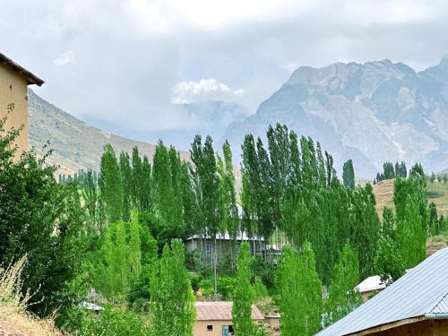 Shahzod Guesthouse & Homestay