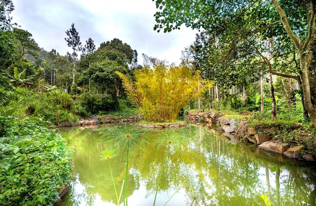 Shambala Yercaud