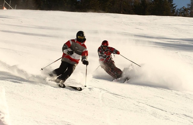 Shawnee Mountain Chalet