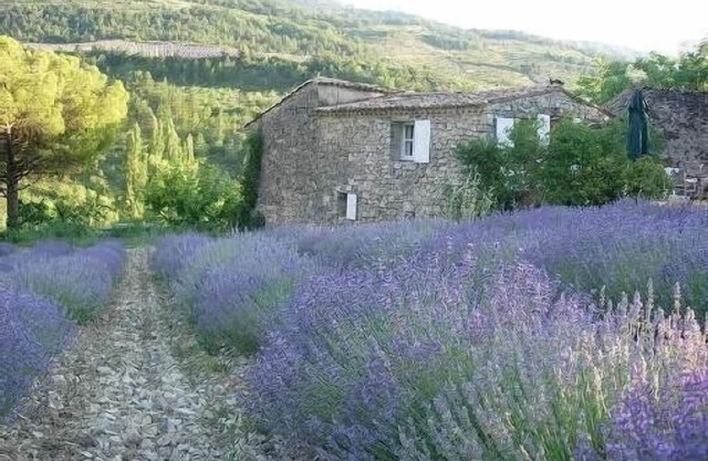 Sheepfold restaurado en Provenza cerca de Vaison la Romaine y Mont Ventoux