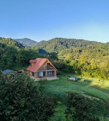 Shemoqmedi chalet