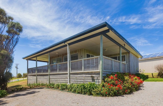 Sheoaks - Port Fairy
