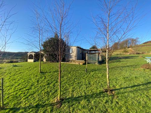 Shepherds Hut-1 Bed-Hot Tub -views