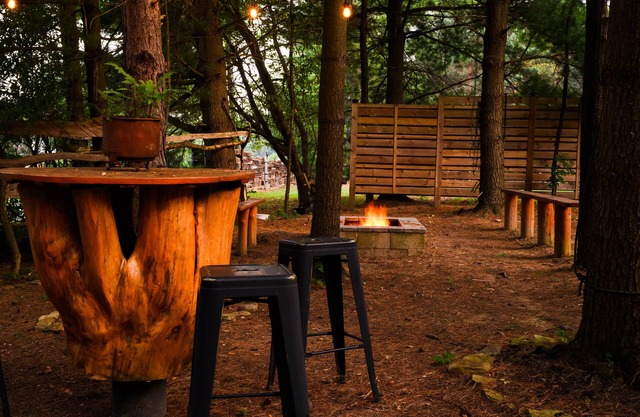 Majestic Campfires Under The Stars, String Lights, and Tall Evergreen Trees