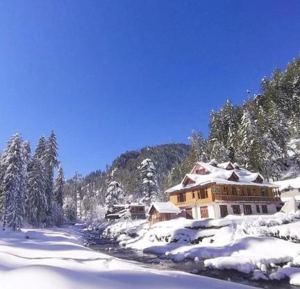 Shiva Valley Riverside Homestay