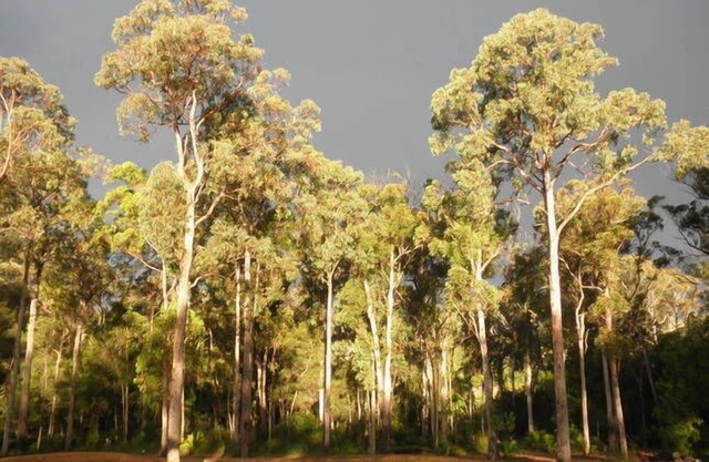 Retiro Shizunami Bermagui