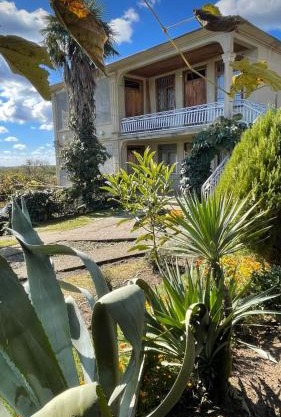 Shonikebi Guest House