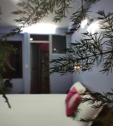 Shova's Home Stay