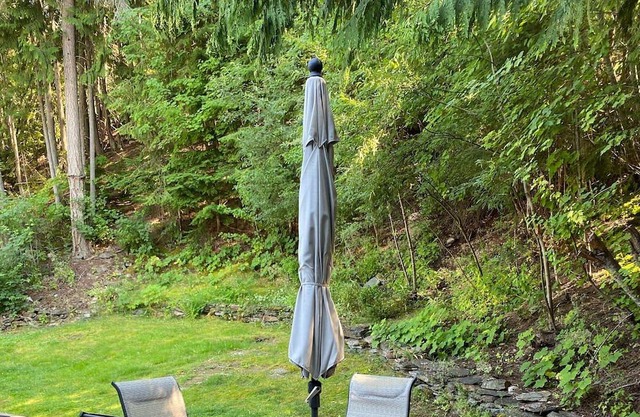Shuswap Views Semi-Lakefront A-Frame Sleeps 4 King Bed Bunks Beach