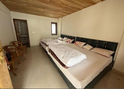 Sidharth stay and vip camping
