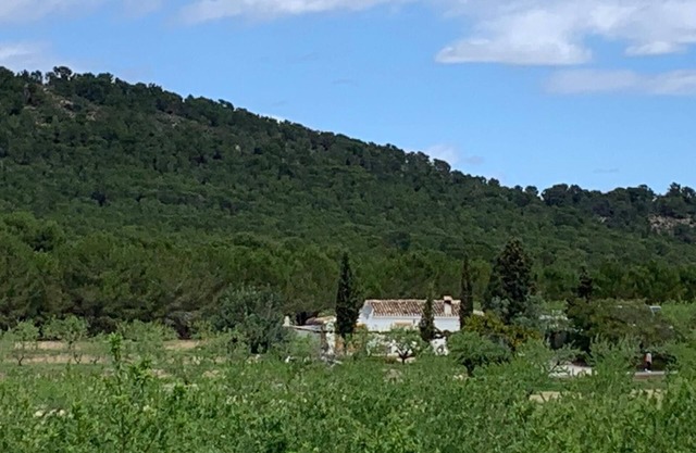 Casa Rural Sierra Espuña rodeada de naturaleza (apta para mascotas)