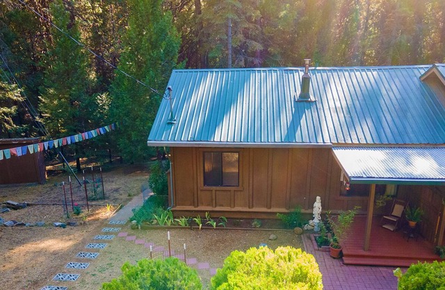 Sierra Foothills Forest Retreat