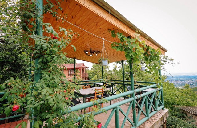 Sighnaghi view house