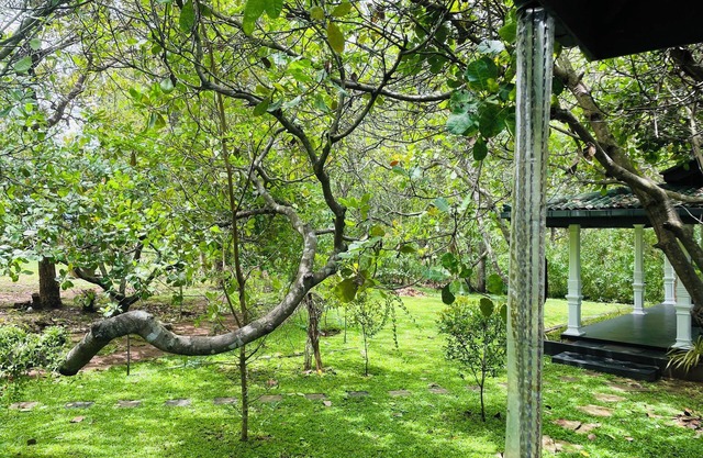 Sigiri Suncap Cottage