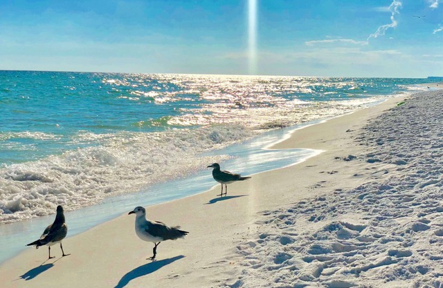 Silver Dunes Condominium