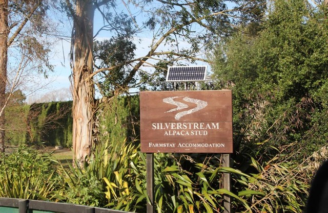 Silverstream Alpaca Farmstay & Tour