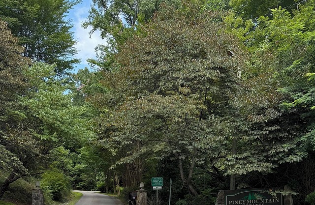 Simple Charming 2-bedroom cabin in Whittier NC, 14 miles from Cherokee