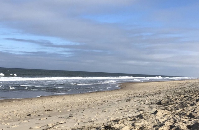 Simple Family Beach house: one floor & steps to ocean. V. close beach location