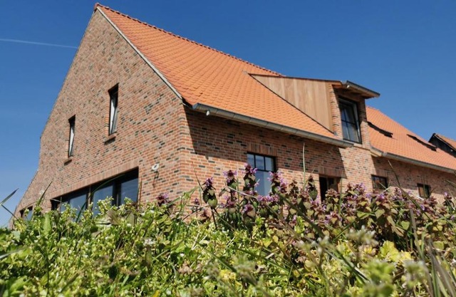 Sint-Sixtus 99