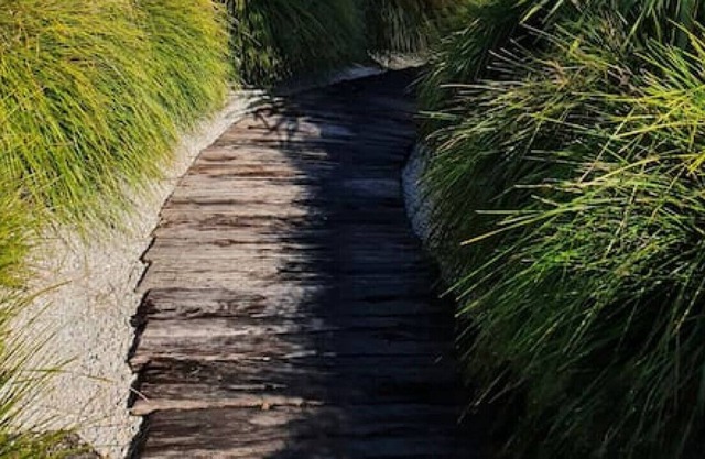 Sailor's cottage - Waiheke Escapes