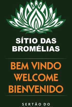 Sitio das bromelias Cachoeira do Tombador