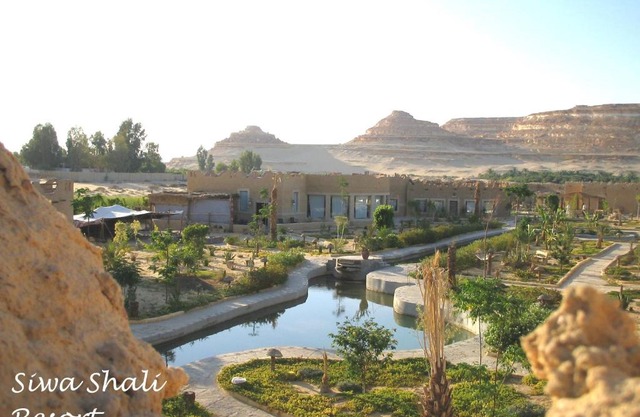 Siwa Shali Resort
