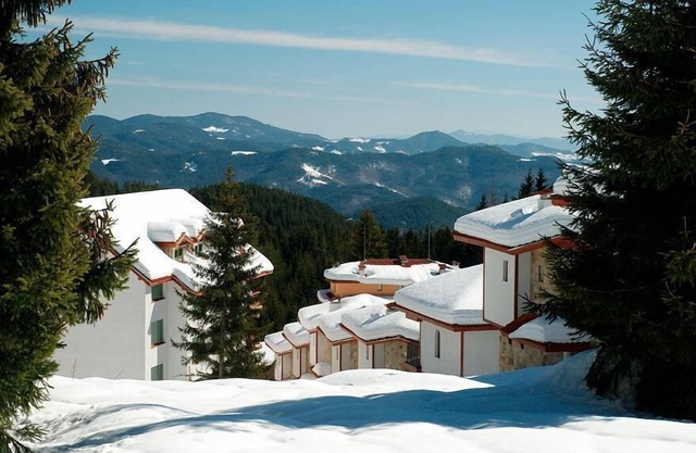 Asequible vacaciones Ski Chalet en 'Narnia' en medio de un bosque