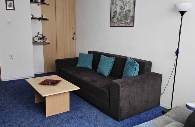 Ski slope 3 bedrooms Apartment Azuga