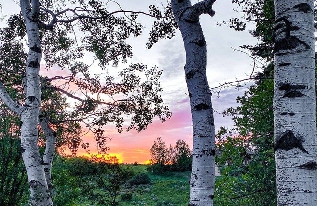 Skiing, Fishing, Hiking this log home is the perfect location to create memories