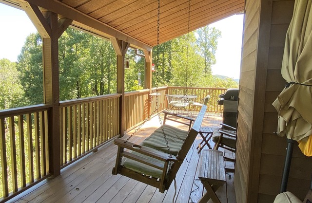 Sky Dog Pet Friendly Home Dupont Brevard Hiking Mountain Biking Porch Waterfalls