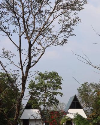 Sky Meadows Wayanad