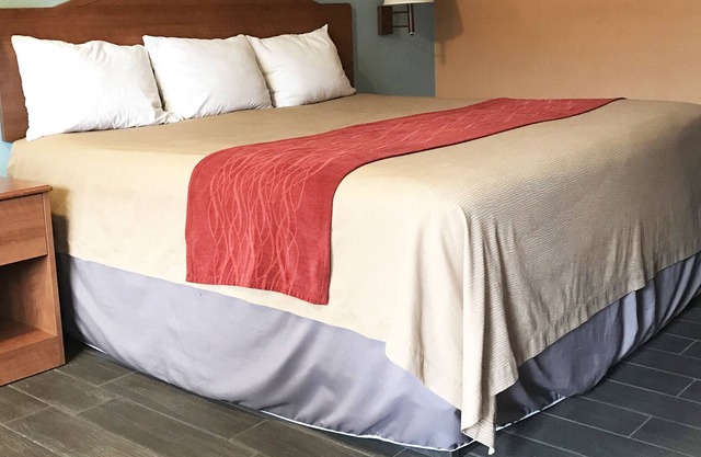 Sky Palace Inn & Suites Laredo - Luxury 1 King Bed Accessible Non-Smoking