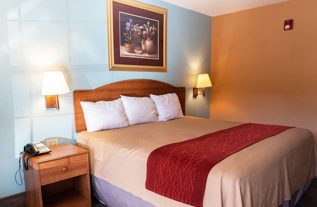 Sky-Palace Inn & Suites Laredo - Deluxe 1 King Bed Non-Smoking
