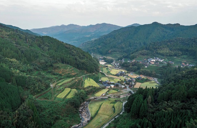 Sky Tea House