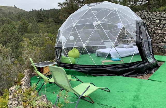 SkyDome
