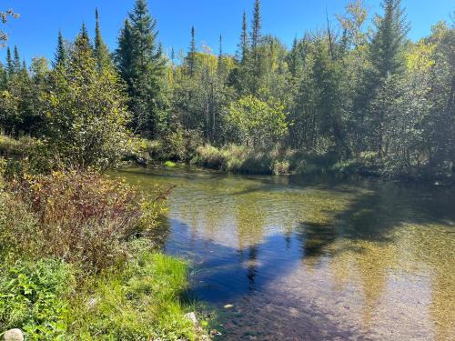 Sleeping Bear Riverside Cabins