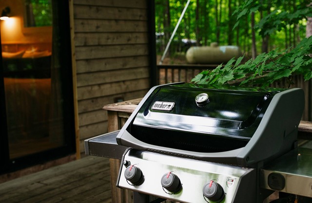 Sleeping Bear "Treehouse"; close to Glen Arbor, Lake MI, the dunes & bike trails