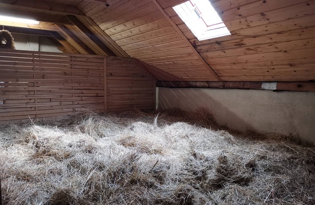 Durmiendo en el heno / cama de heno - Ferienhof Sarodnick