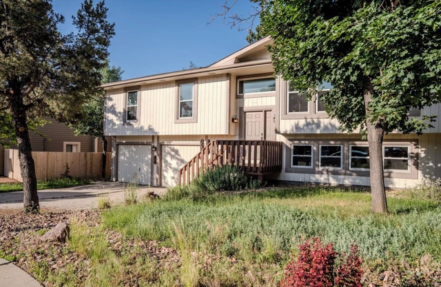 Treehouse Vibes in NW Colorado Springs