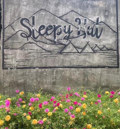 sleepy hut