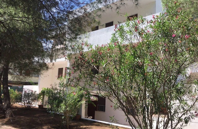 Apartamentos pequeños en el bosque de pinos.