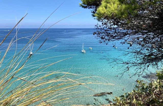 App. Petit Finca Oasis CanNegre, la recuperación absoluta como un alquiler sin niños
