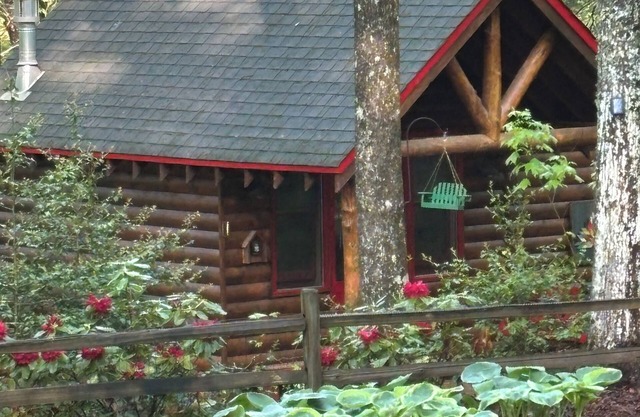 Small cozy log cabin sleeps two, where nature abounds near the Tallulah River