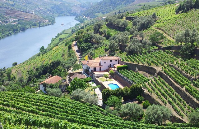 Pequeña granja en el Duero con piscina privada.