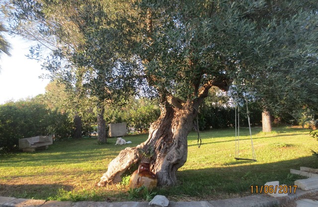 Pequeña casa en el campo, la pequeña "Cornula", Salento