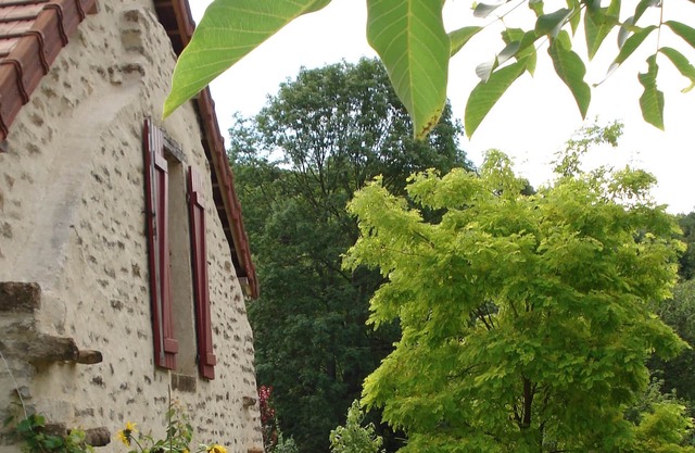 Small independent hunting lodge, courtyard and green space