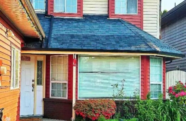 Smiling house