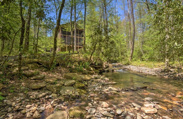Smoky Mountain Retreat Trail and Creek Access!